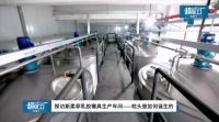 斯柔菲登陆央视网“人人都爱中国造”，匠心制造助力健康生活