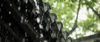 消费者的选择丨千年舟光触媒抗菌生态板，分解细菌「无间断」