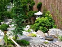 家里拿出1㎡空间，用上沙石、松柏去造景，省钱档次还能提升不少