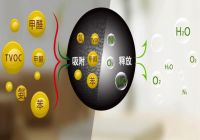 你的父母可能需要一个洛克斐智能坐便器