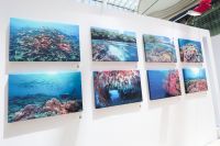 “熠熠生灰x壮美极境”海洋公益影像巡展在京开幕
