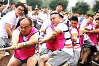 舒适猫：齐心同聚·协力共拼——全国员工参与美景公司第11届运动会