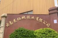 2021云南建博会│龙栖地胶：产品质量优，专业技术强，销售服务全