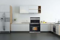 荣耀见证|优格荣膺[2021消费者信赖厨电品牌30强]