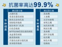儿童房这样装修就对了