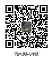 每个人心中都有一个属于自己的院子