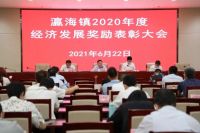 美巢斩获&ldquo;瀛海镇2020年度经济发展科技创新奖&rdquo;