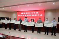 美巢斩获&ldquo;瀛海镇2020年度经济发展科技创新奖&rdquo;