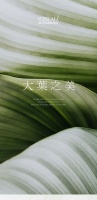 【YASLAN】大叶美感 彰显活色生香