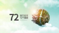 金迪国际房门品牌升级 产品多元化+品牌国际化并举