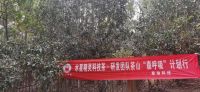 茶与乡村振兴，水星精灵科技茶探索做茶全新理念