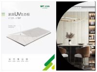 千年舟家具UV生态板，家装的「颜值担当」