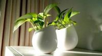 盲目相信通风能去甲醛 带来的后果可能是你想象不到的