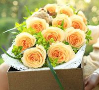 12朵玫瑰花代表什么意思 玫瑰花送几朵合适