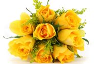 12朵玫瑰花代表什么意思 玫瑰花送几朵合适
