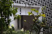 出门荡荡儿，和新朋或老友 | 喜闻乐见开幕