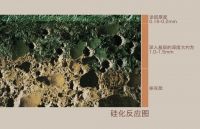德国凯曼KEIM扛起无害涂料的大旗