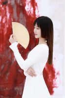 红墨斗中国住宅设计大赛郑州赛区--深圳市摩恩设计装饰林燕霞作品赏析