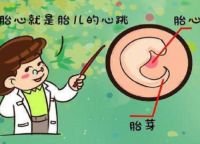 什么时候检查胎心 听胎心每天最佳时间是什么时候