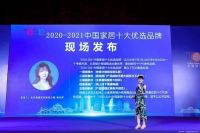 飞宇门窗荣获十大门窗领袖品牌荣誉称号！