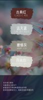 【领绣·菁华】浓墨华彩，染就俗世尘嚣，质本还洁，共赴浪漫时光