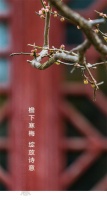 【米兰壁纸墙布窗帘】檐下寒梅 绽放诗意