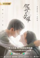 《你是我的荣耀》爆红，国际高端家电gorenje缔造明星同款