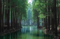Airapex阿尔卡司净化无雾加湿器全球上市-湿地般的净润呼吸