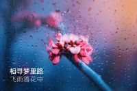【米兰壁纸墙布窗帘】墙布十大品牌之米兰墙布系列《莫兰迪》丨色彩 治愈生活