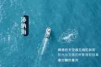 【米兰壁纸墙布窗帘】墙布十大品牌之米兰墙布《沛纳海》丨探索 视觉乐章