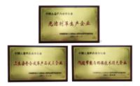 高明尚昂——坚持绿色清洁生产，推动皮革行业转型升级