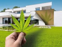 德爱威工程外墙涂料与一块奶酪引发的……