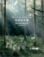 健康家装 金迪木门|给予用户最健康的家居生活
