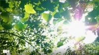 标题：一砖一瓦，一朝一夕，“你”是我的梦想家