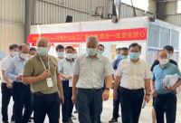 武汉蔡甸区委领导莅临怡萧行华中区域加工中心调研指导