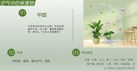 伊莎贝尔南博店周年庆，免费福利人人领!
