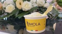 火出圈的IMOLA GELATO有怎样的魔力