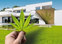 哆啦A梦陪伴你的成长 德爱威内墙涂料守护你的家