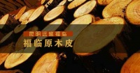 福临原木皮 让别墅大宅在“高定”中更趋完美