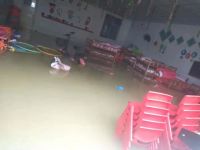 传递爱心丨三棵树支援河南灾后重建在行动