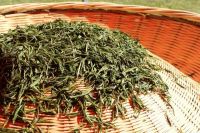 新房隐藏污染多，除甲醛必须做到全屋净化不留死角才更放心