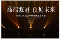 松伟灯饰，9月火出圈！董事长谢伟一席话，让经销商不淡定了