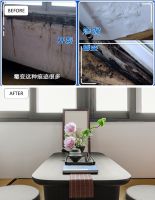 立邦携手《极速焕新家》3个月为12个中国家庭打造梦想“屋托邦”