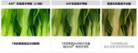 360°生态养鲜！TCL时鲜系列冰箱，让食材在大自然自由“呼吸”