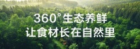 360°生态养鲜！TCL时鲜系列冰箱，让食材在大自然自由“呼吸”