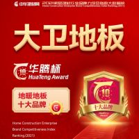 重磅 | 大卫地板连续10年荣获“十大品牌”
