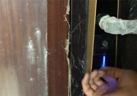 他住进不装修的毛坯房4个月，虽简陋却倍感温馨，网友：还不错