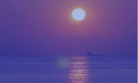 家居搭配要用星选的：太蓝了不是太难了！我不是“l、n”不分