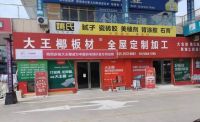 国羽形象全面落地，大王椰开启品牌布局新征程
