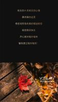 【YASLAN】国庆狂欢，创造个性时尚的空间！